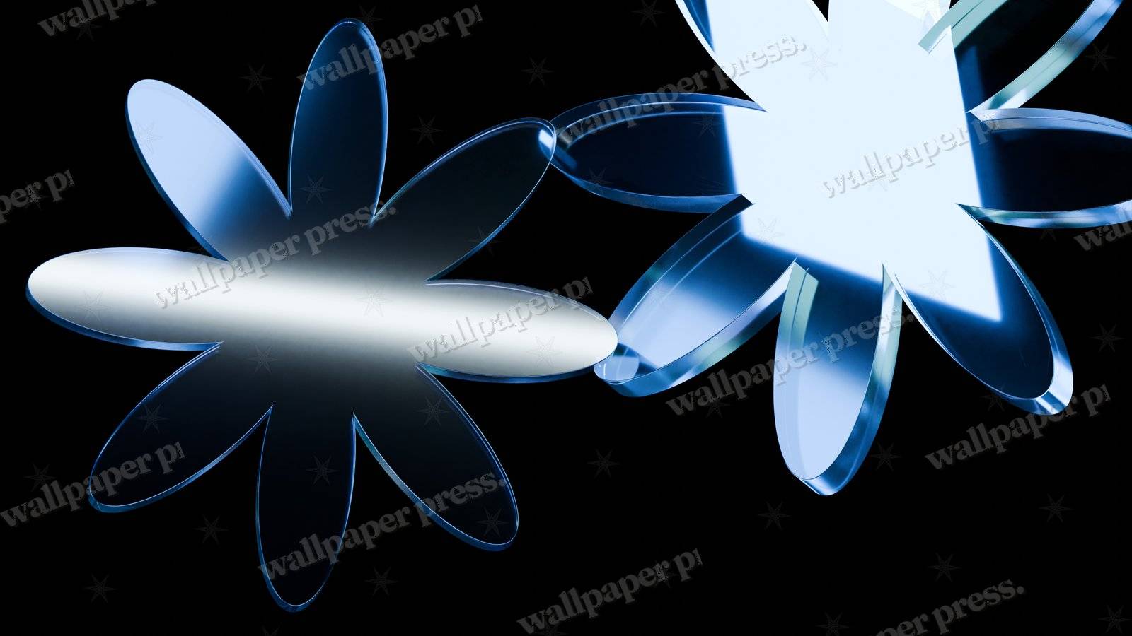 Cold Petal