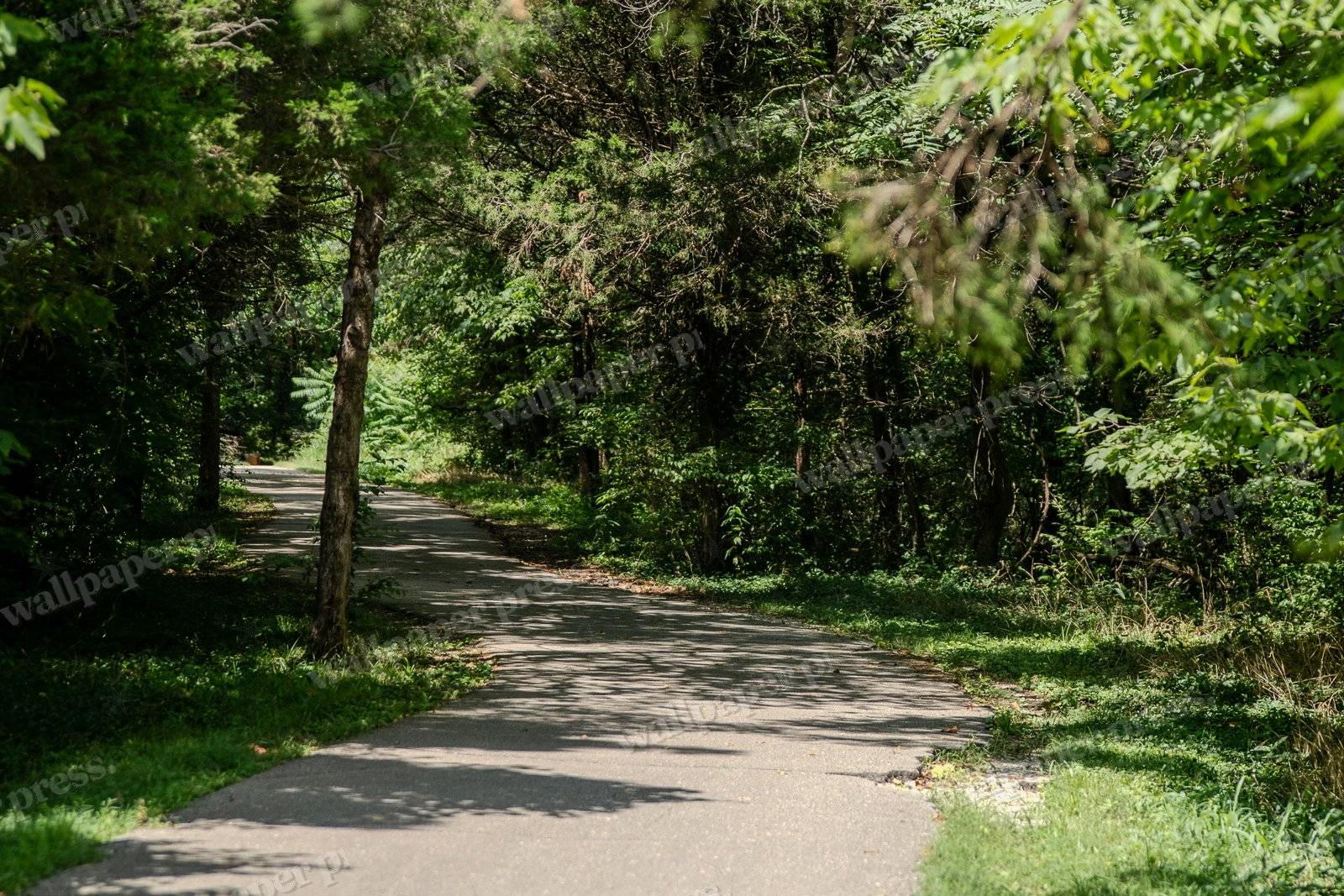 Peaceful Walking