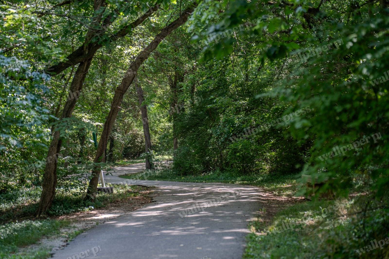 Protecting The Path
