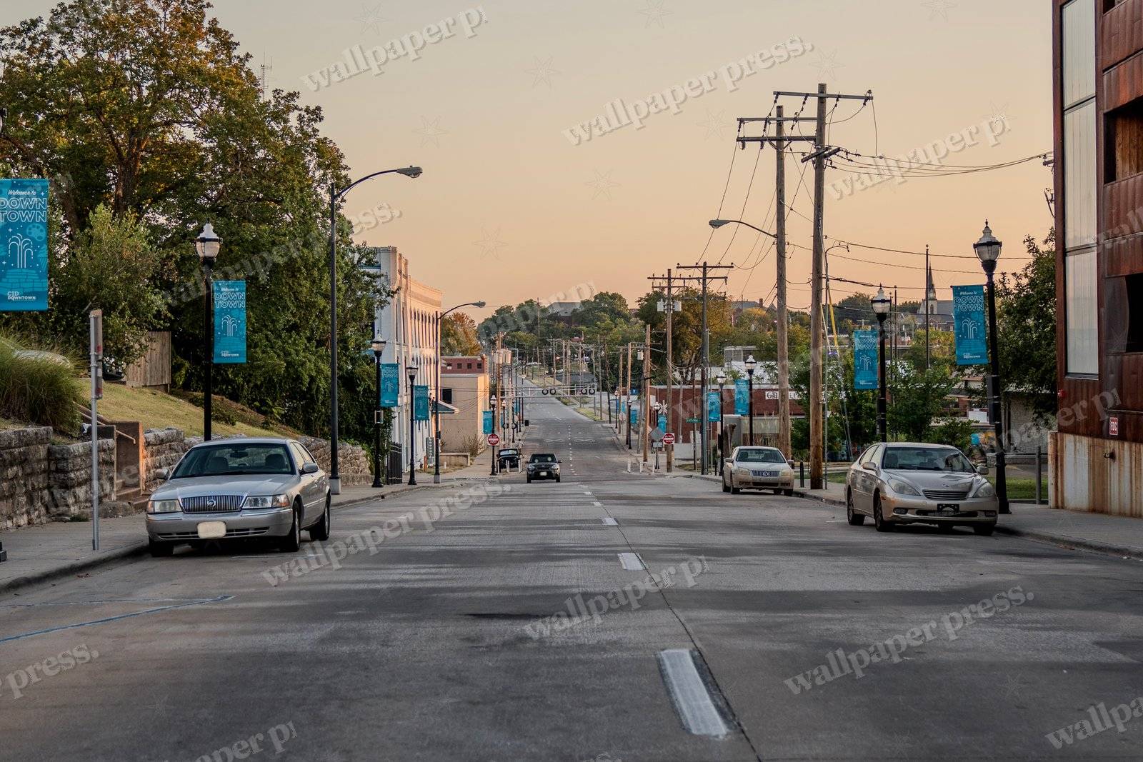Quiet Morning Avenue