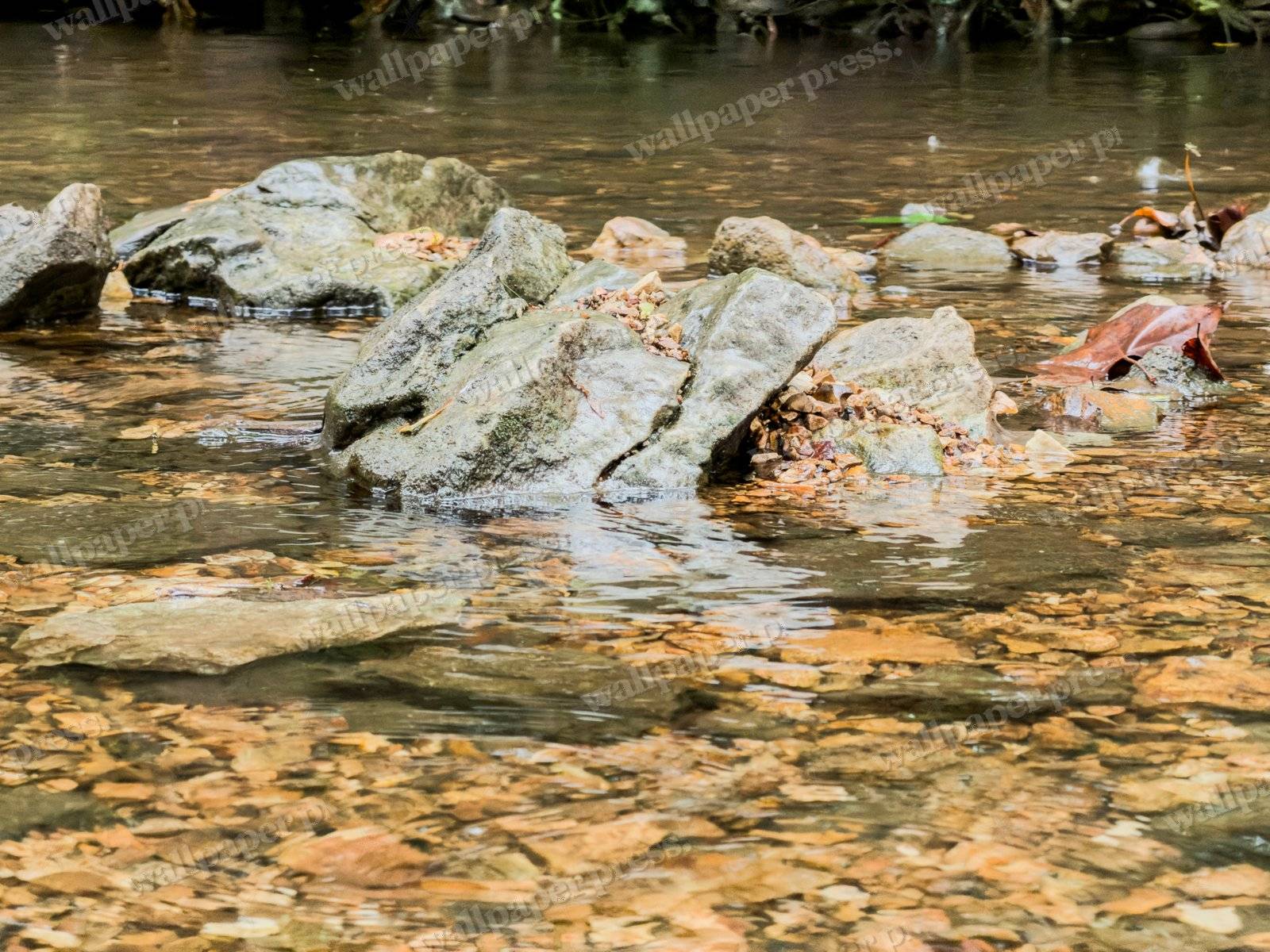 Stones In The Stream