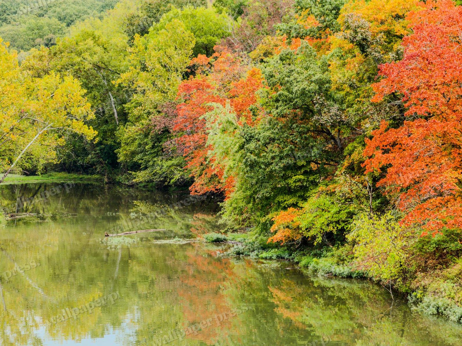 Autumn Shoreline Reflection — Desktop cut