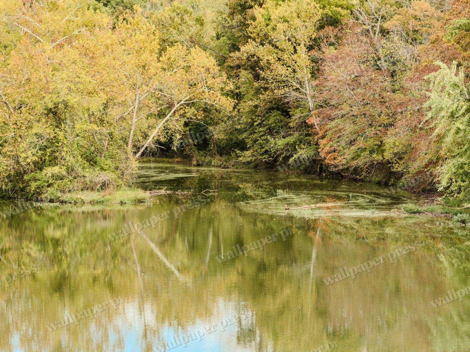 Autumn Stillness — Desktop cut