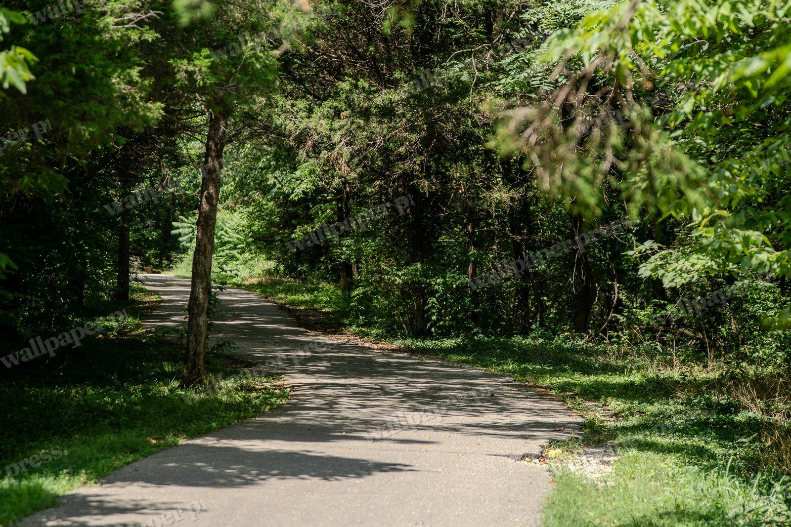 Peaceful Walking