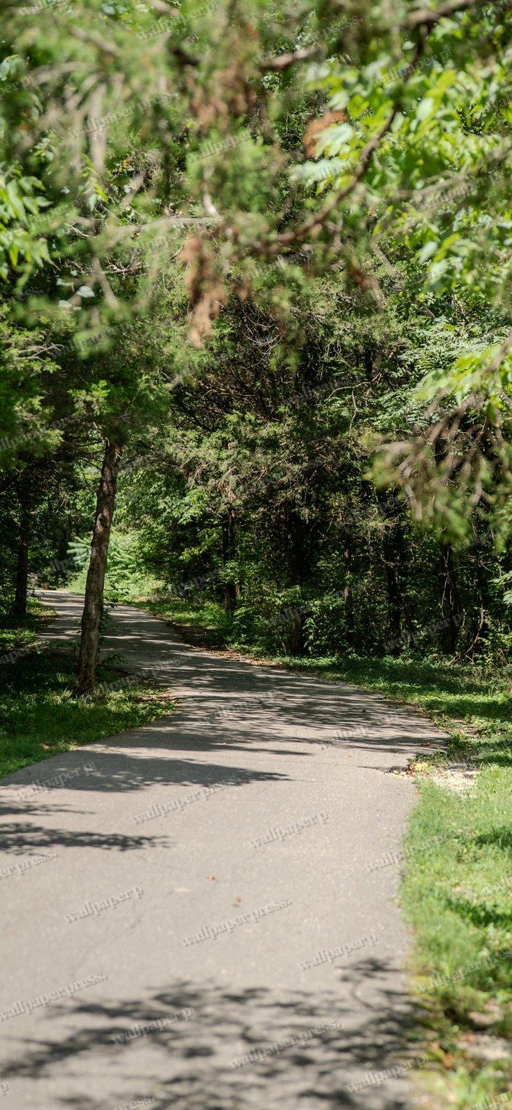 Peaceful Walking shown on an iPhone