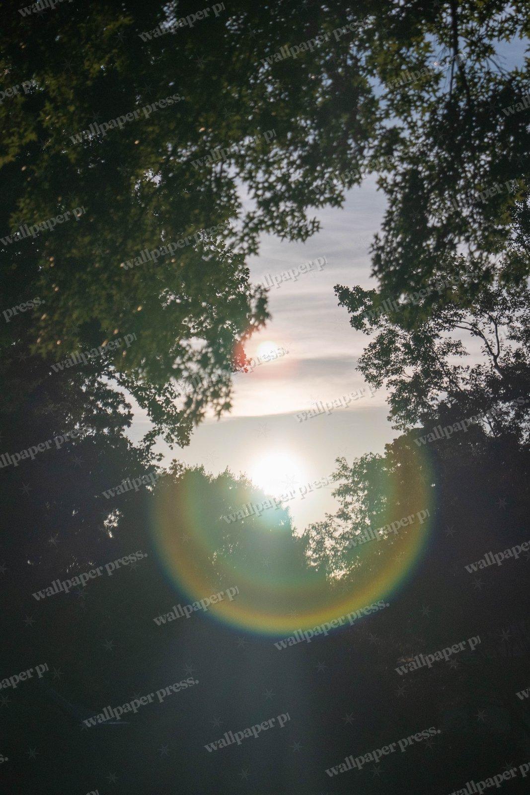 Sun Flare Through Trees shown on an iPhone