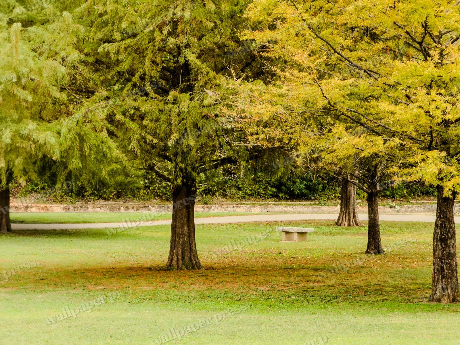 The Golden Park — Desktop cut