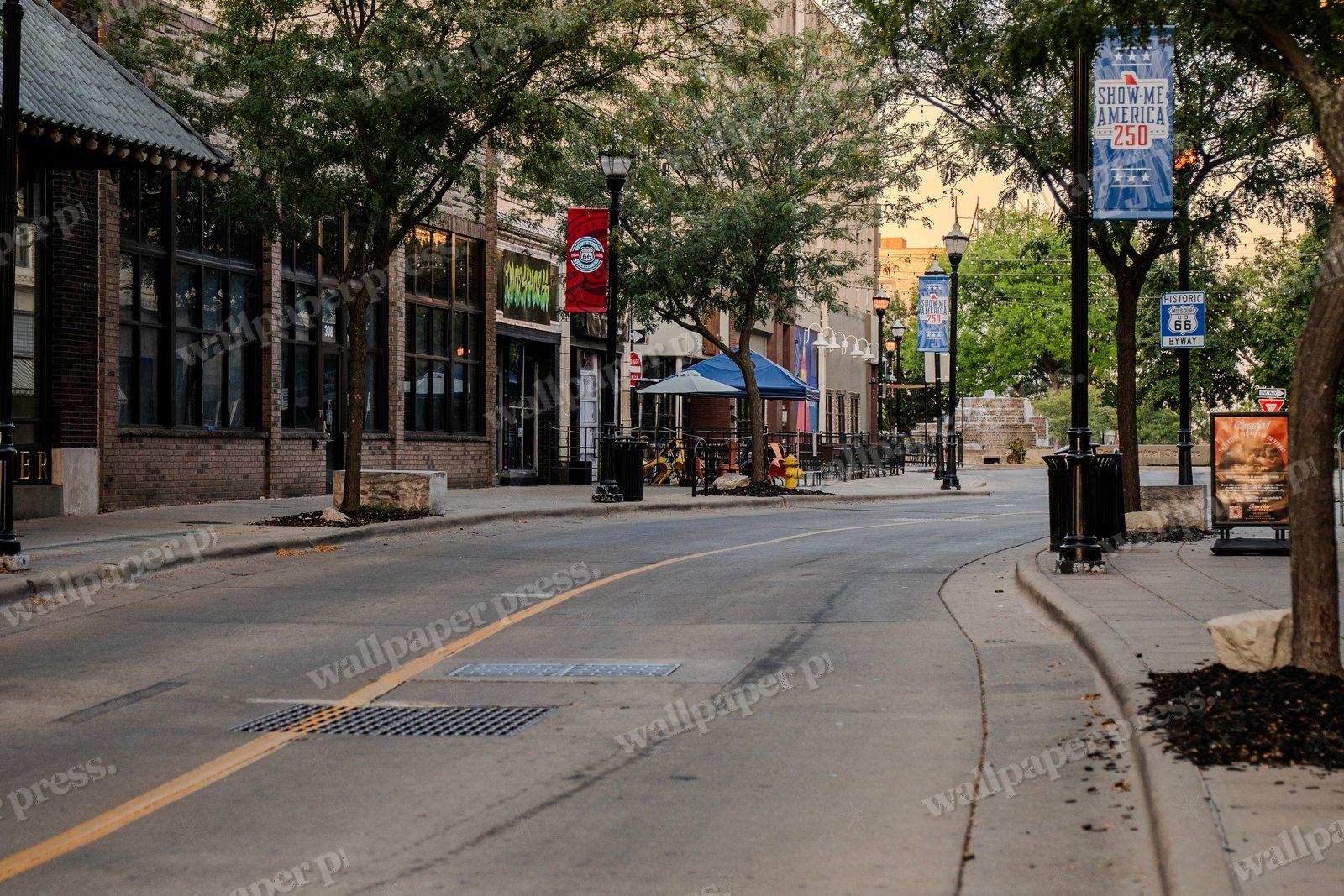 The Street Of Trees