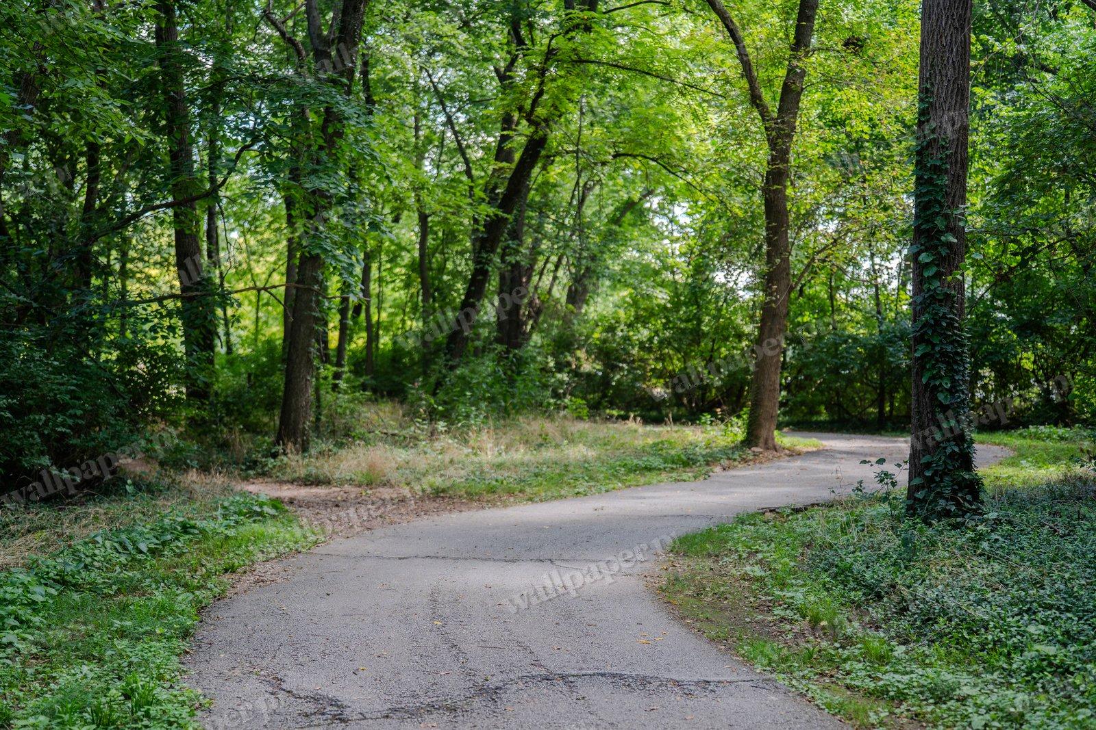 This Path Shall End