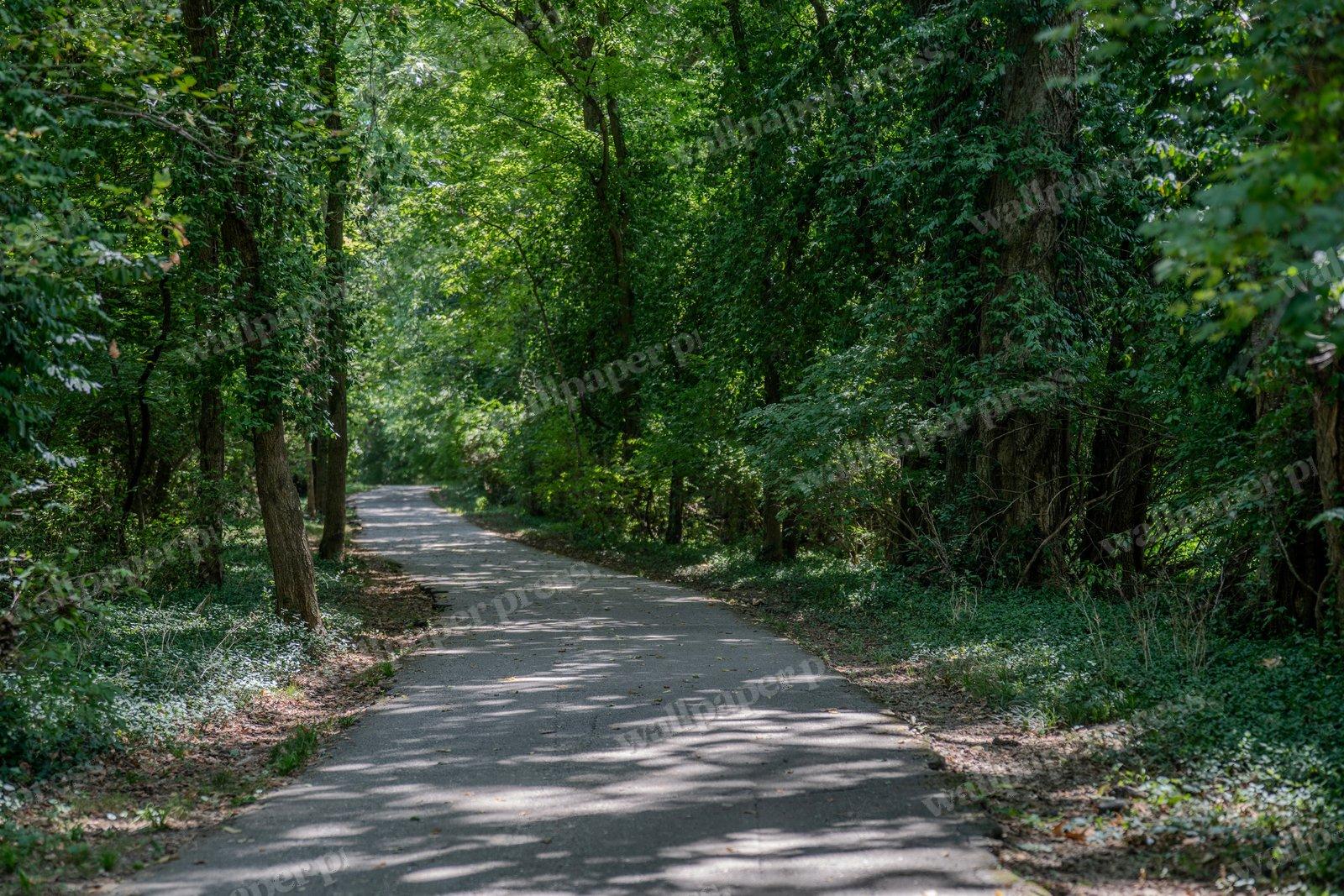 Travel The Path