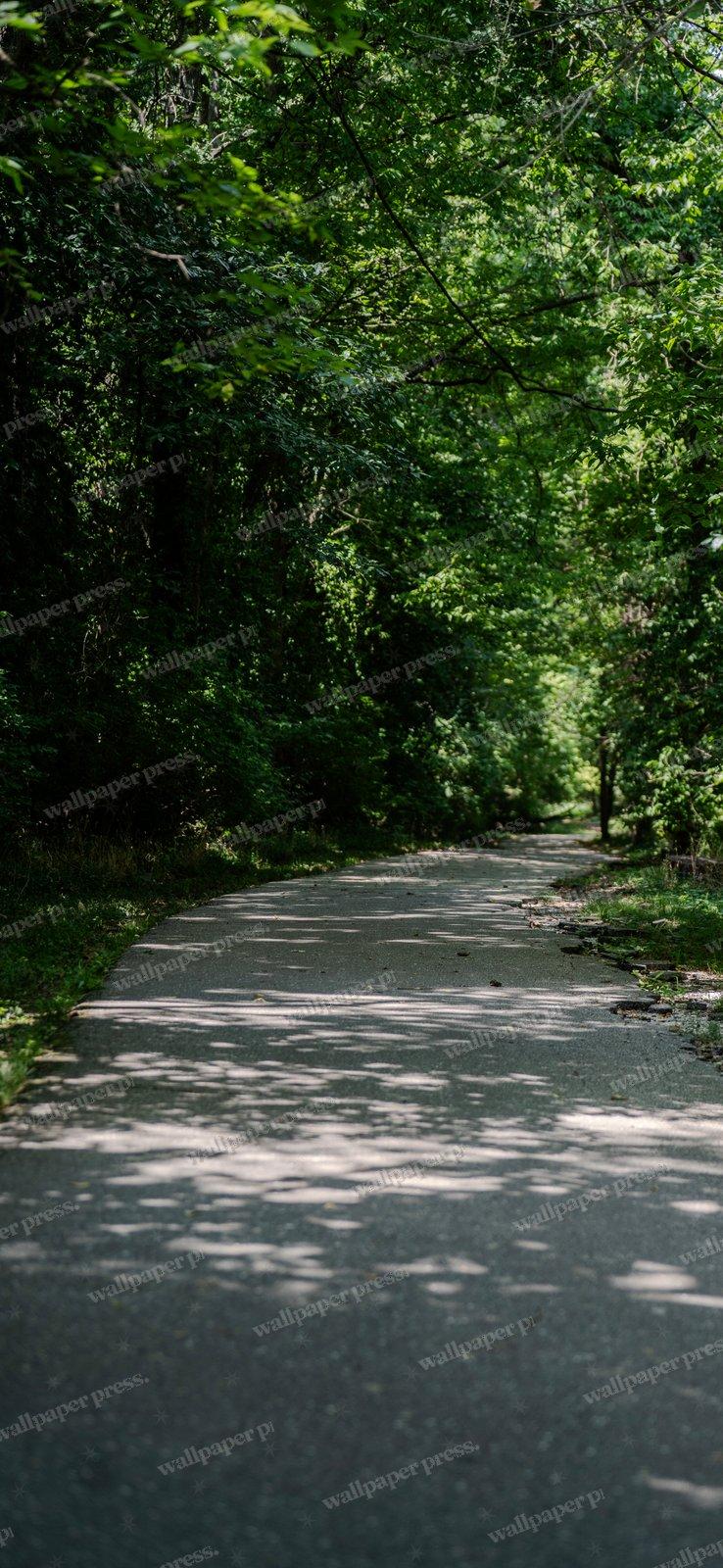 Dark Forest Road shown on an iPhone