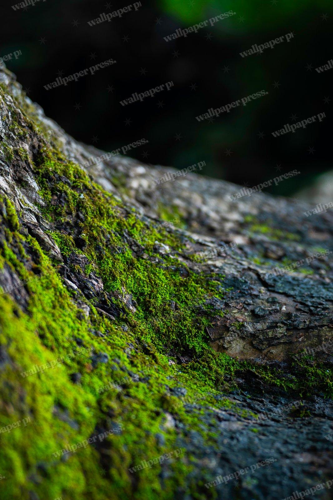 New Growth shown on an iPhone