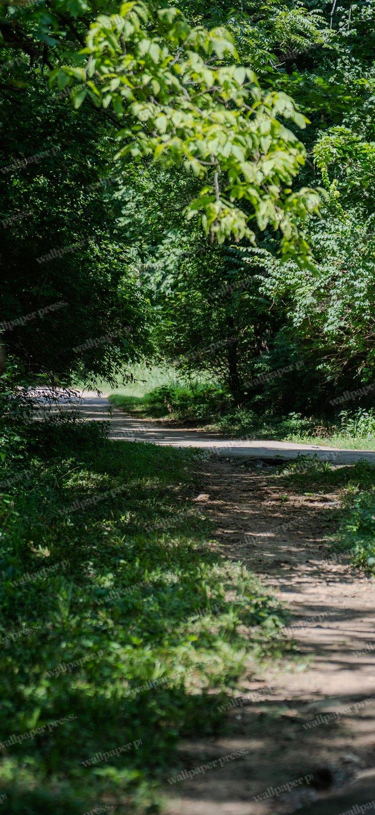New Paths Arise shown on an iPhone