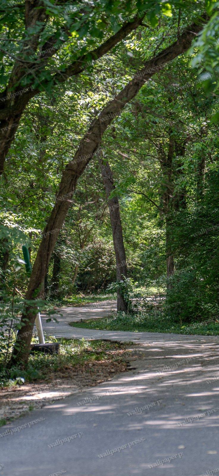 Protecting The Path shown on an iPhone