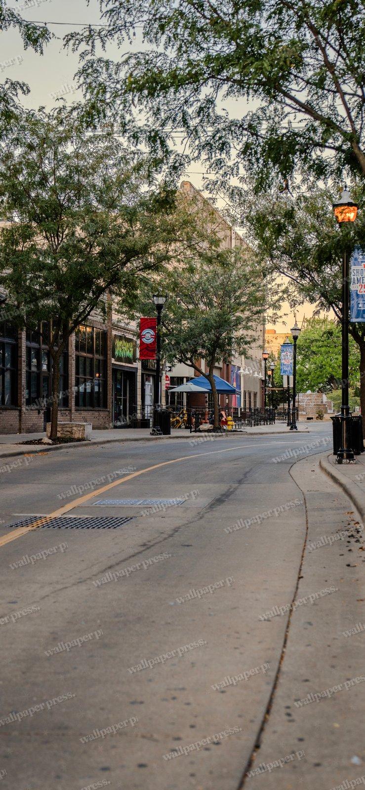 The Street Of Trees shown on an iPhone