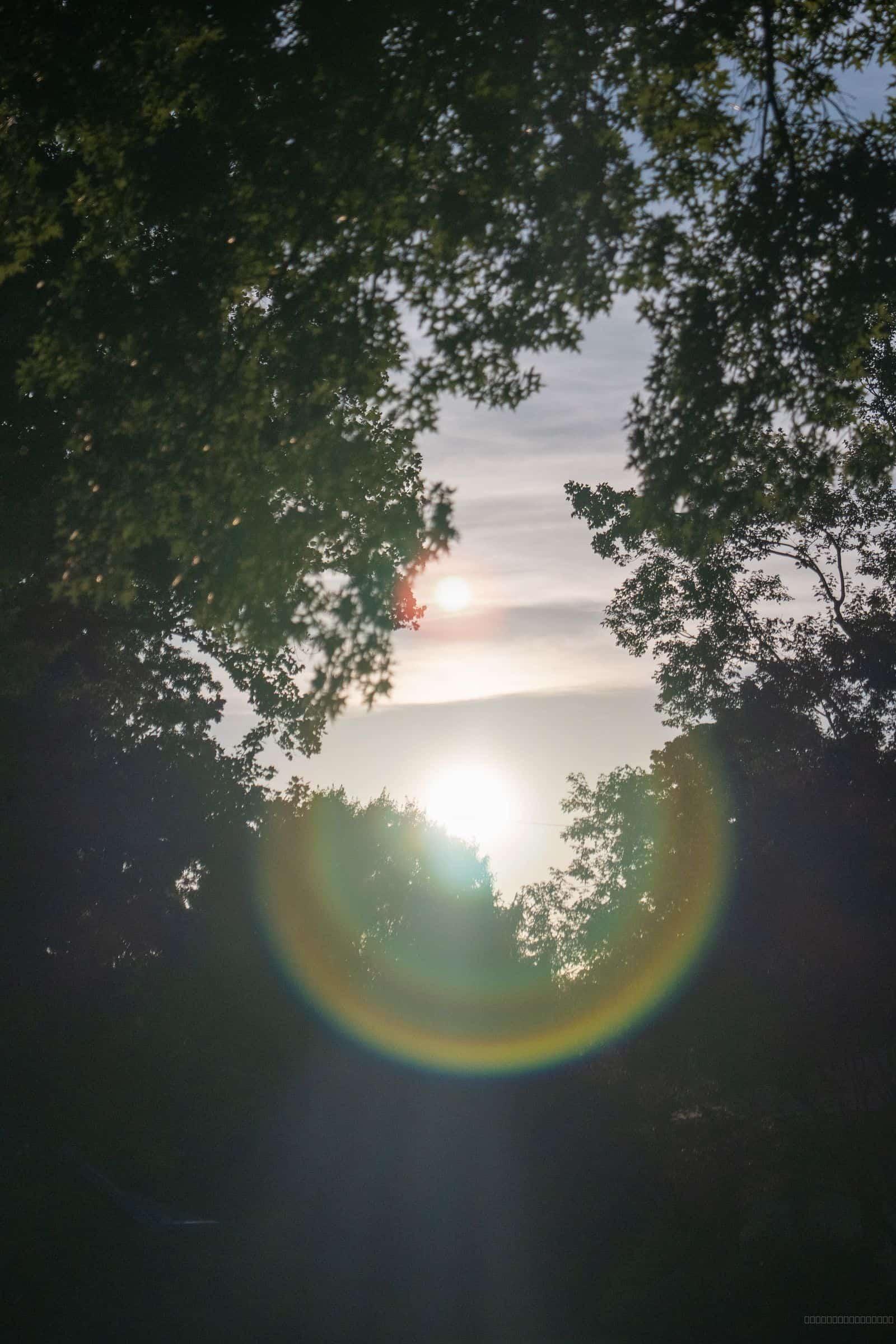 Sun Flare Through Trees shown on an iPhone