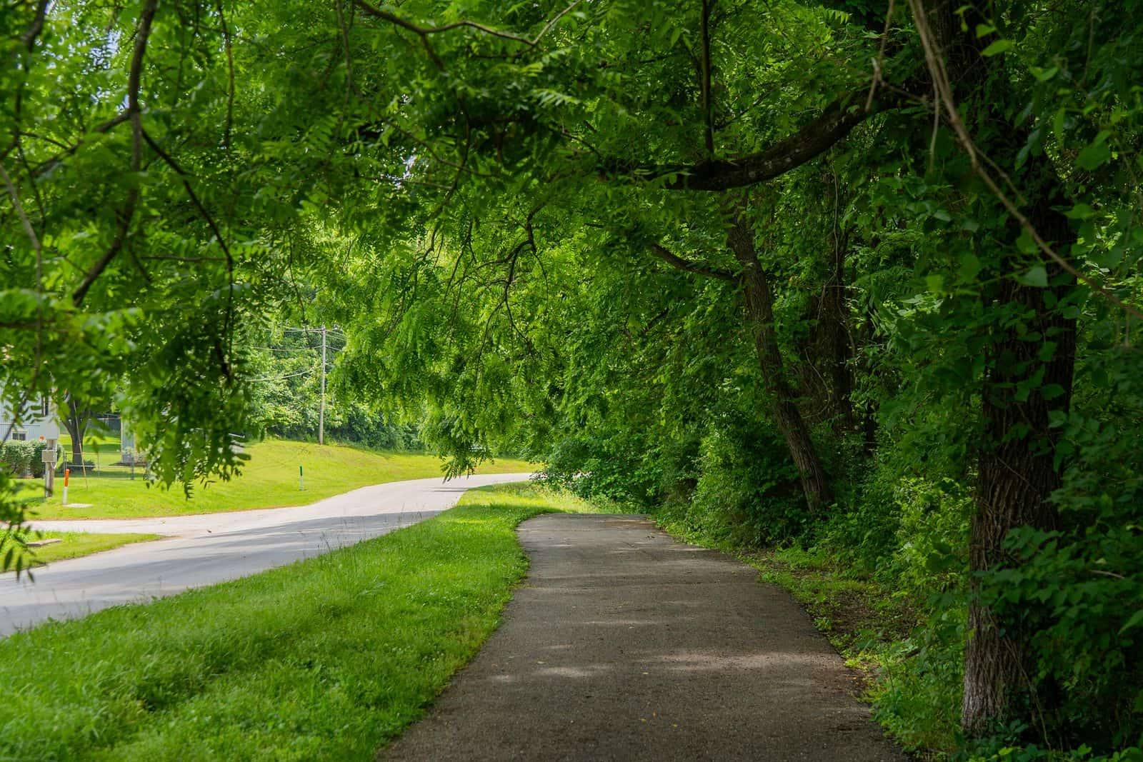 The Way